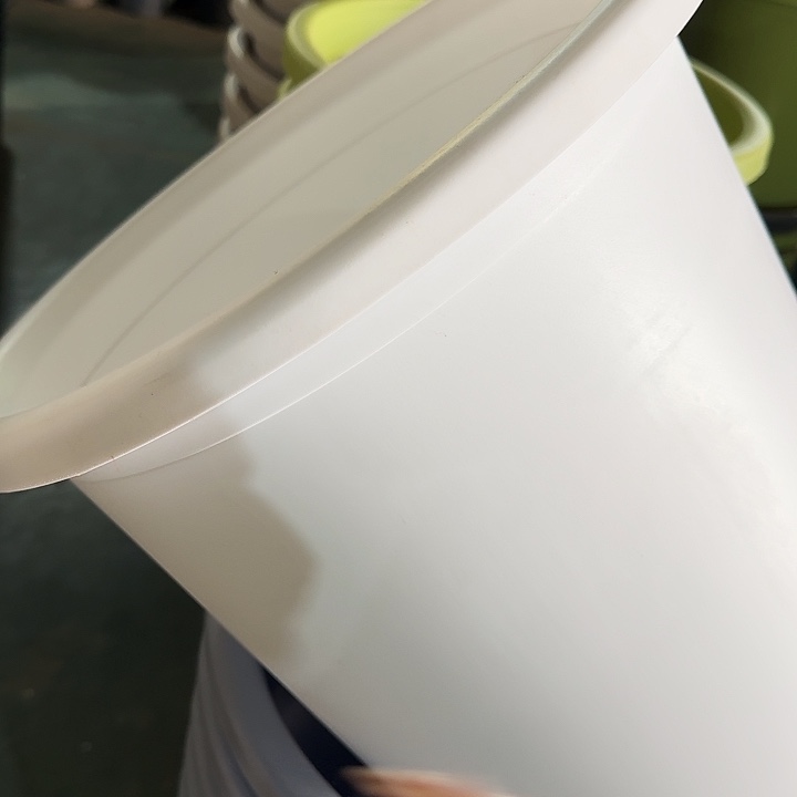 四季8号纯白无托5个特价