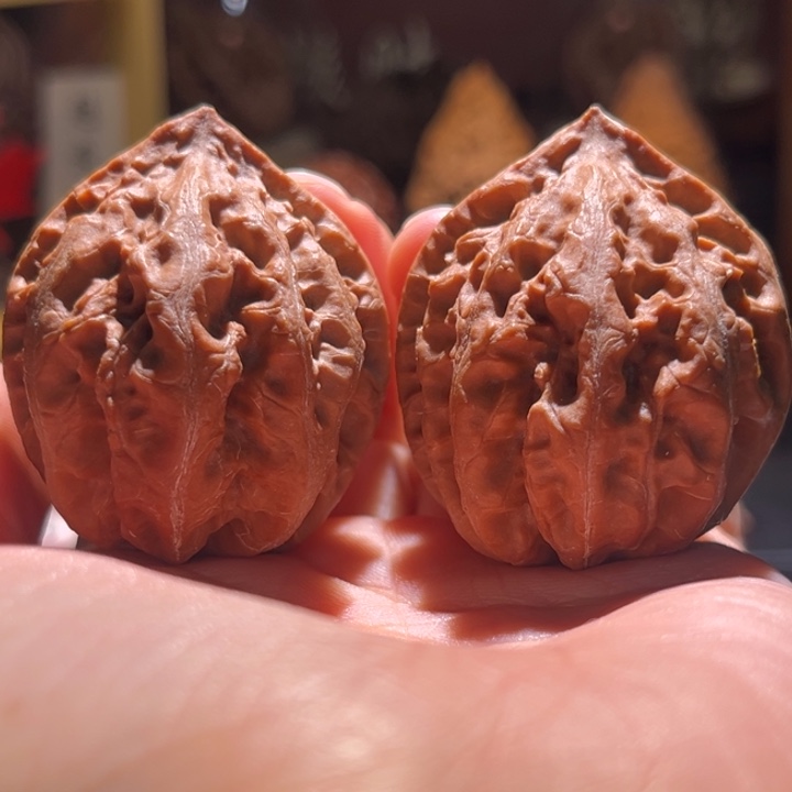 文玩核桃吊坠大肚珊瑚29