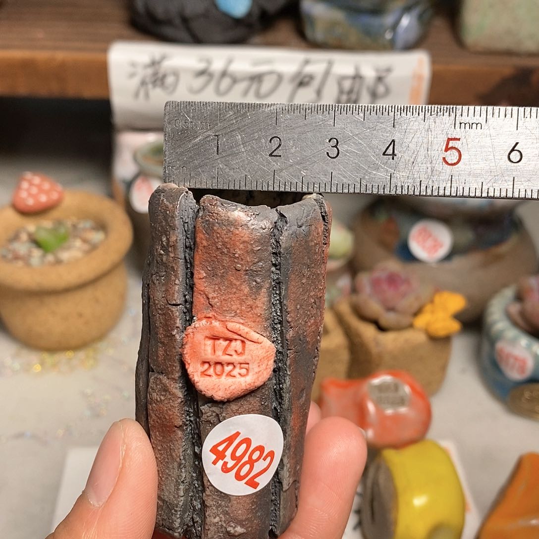 红陶拍5送一个小