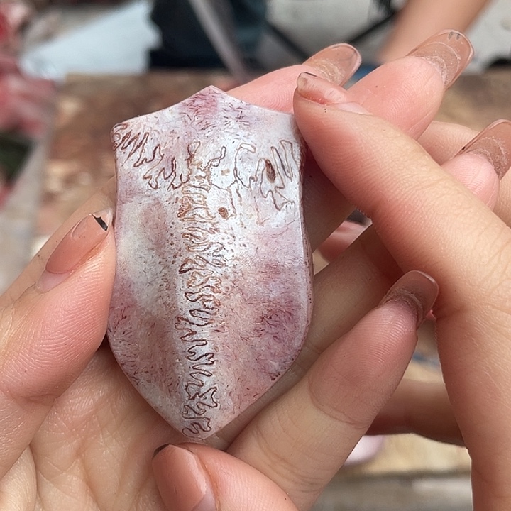 养殖鹿骨三界牌子