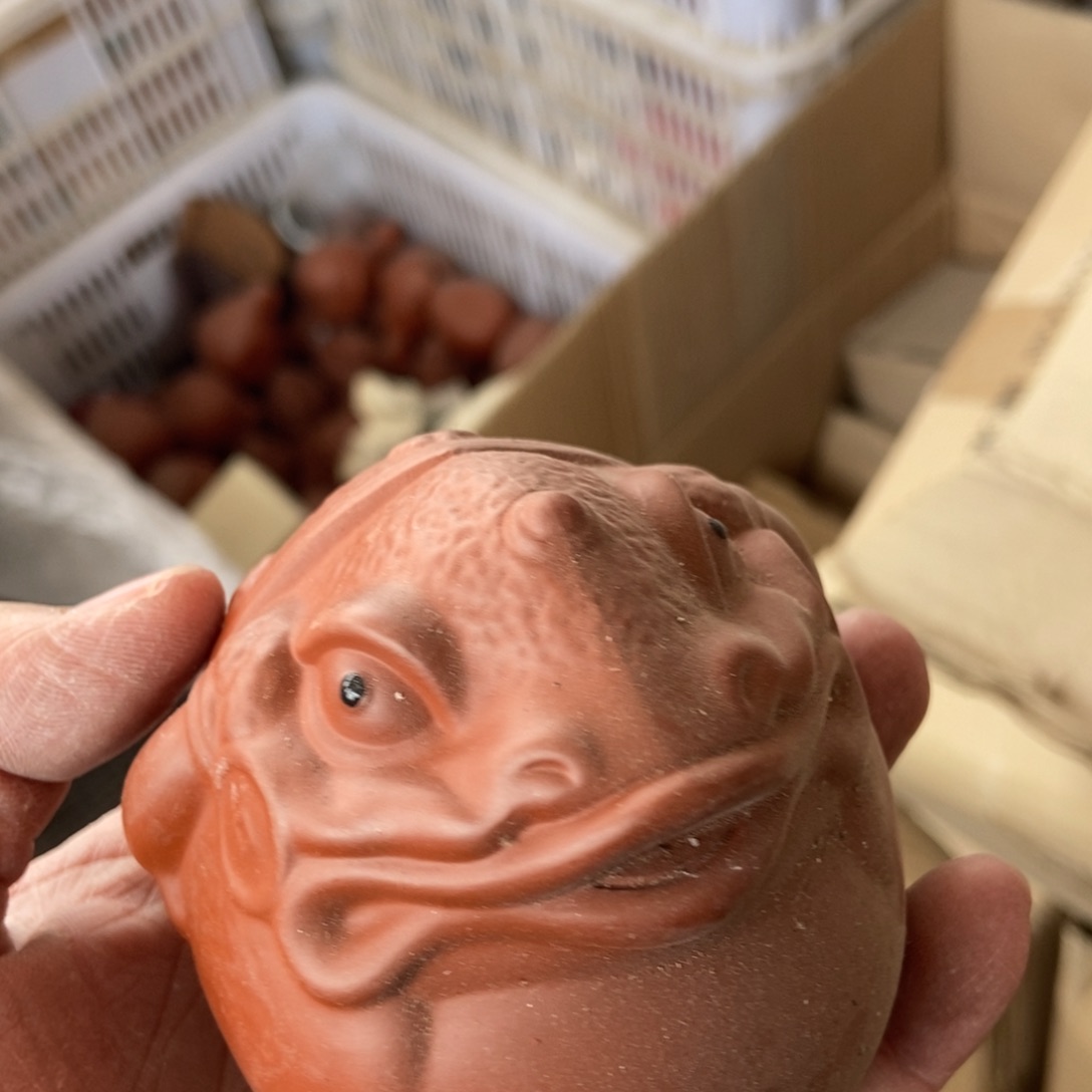 杯直播链接直播链接