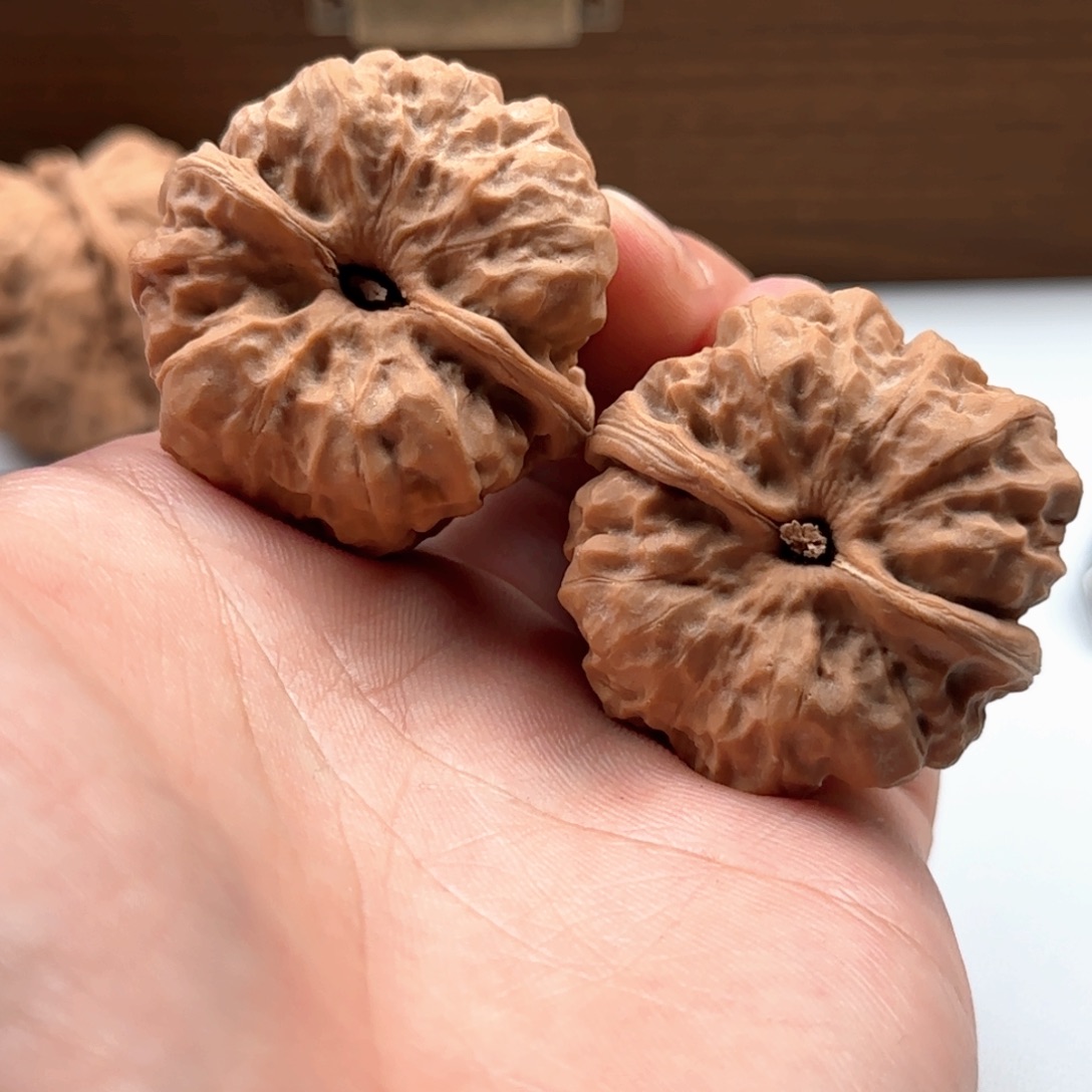 把件核桃延庆蛤蟆