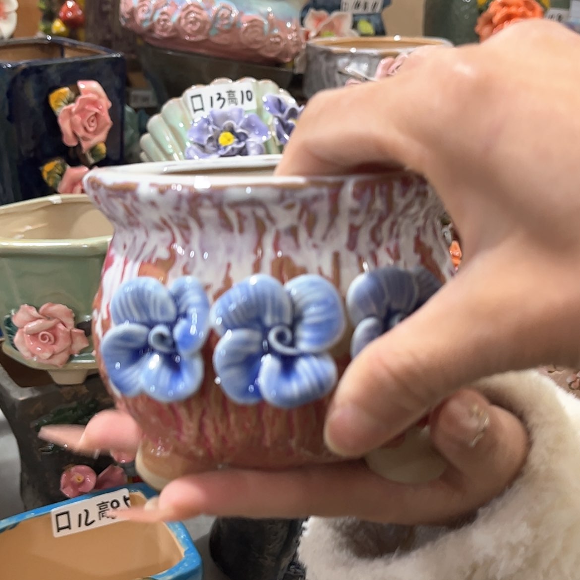 【闪购商品】红陶福利