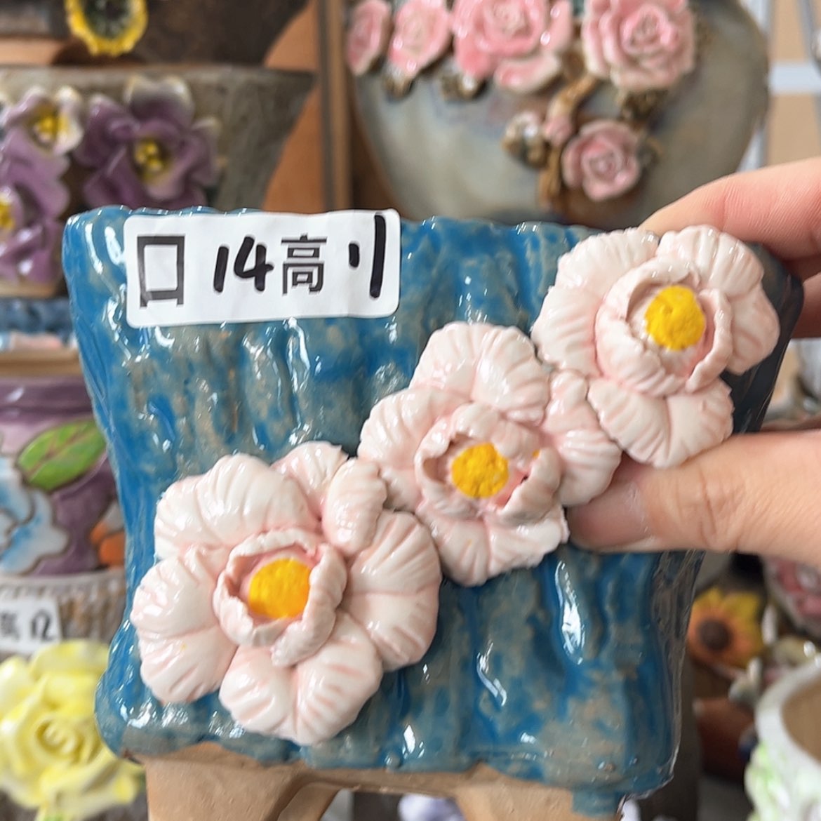 【闪购商品】红陶福利