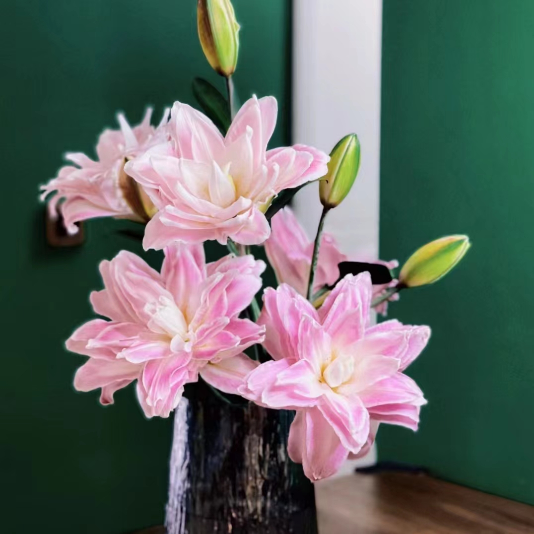 3枝莲花之境多头百合12-15个花苞（小花苞）【两单顺丰或京东快递】