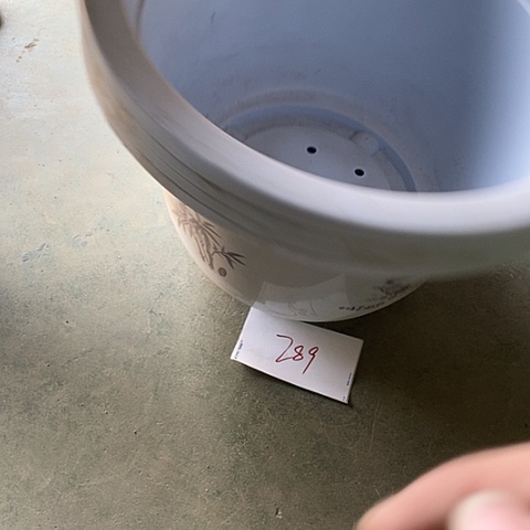 树脂瑕疵编号289