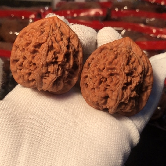 文玩核桃把件水龙纹41