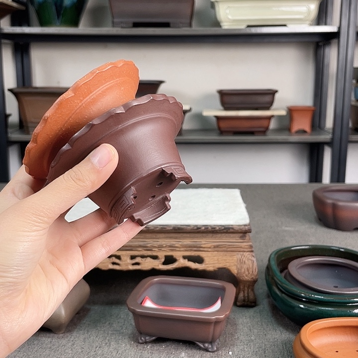 紫砂紫砂花盆福利款3