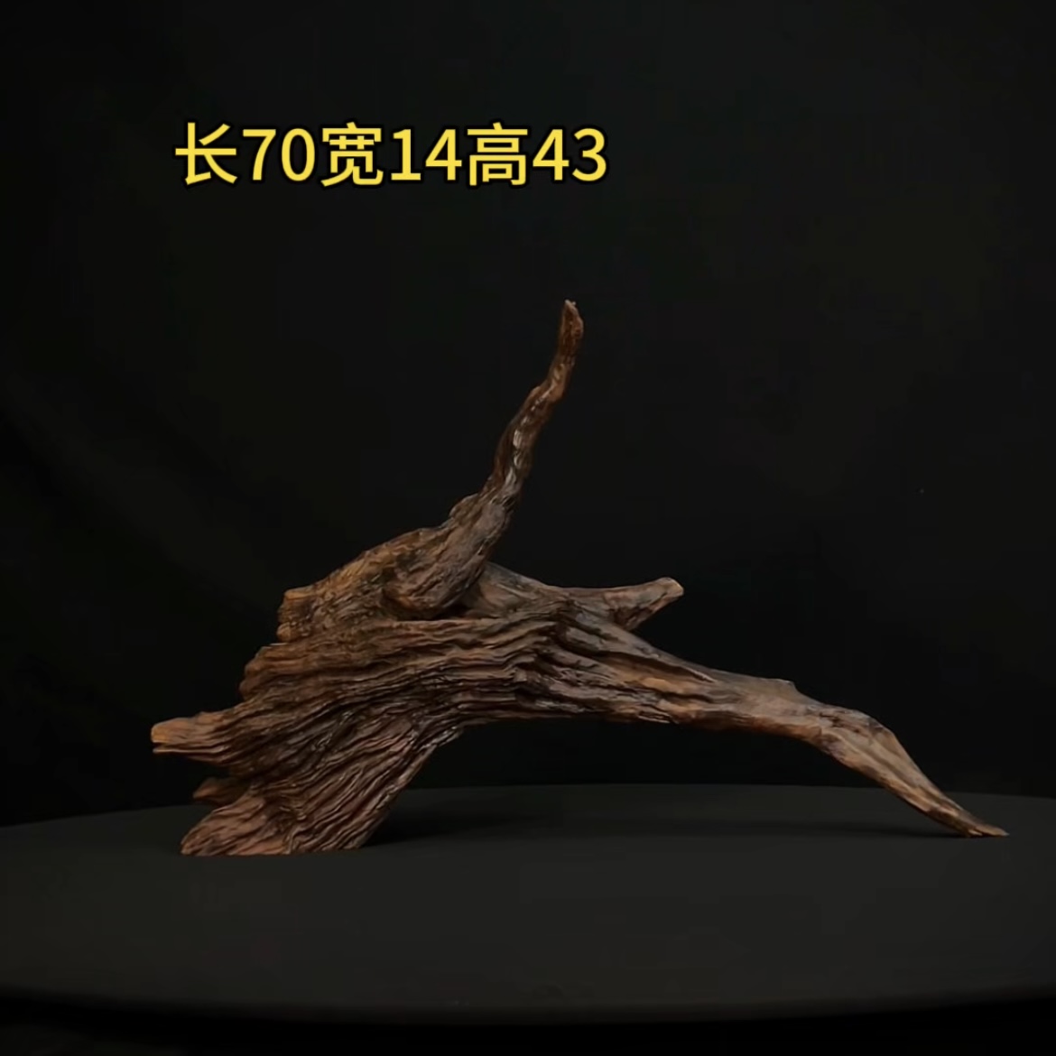 张大狼造景沉木长70cm爆裂纹拱桥飘枝 南美鱼缸造景 紫柚木秒沉
