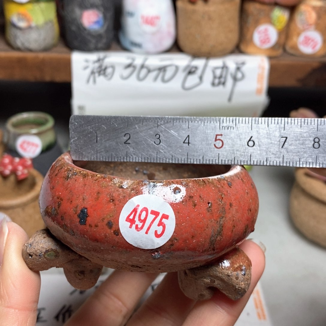 红陶拍5送一个小