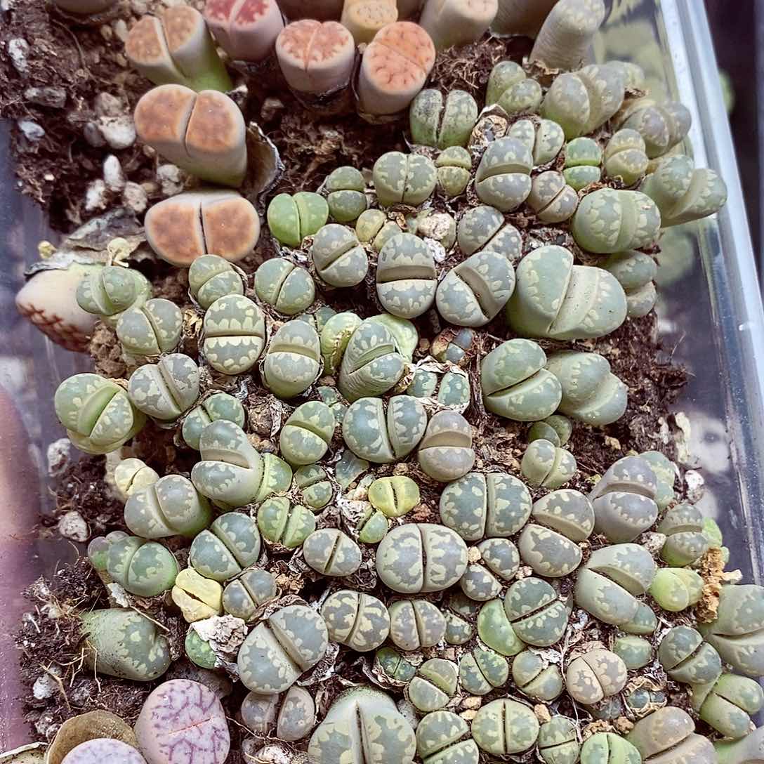 我们一起暴富吧040