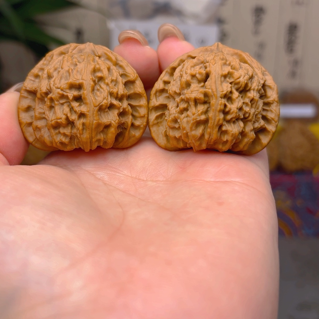 白狮子头四十一尺