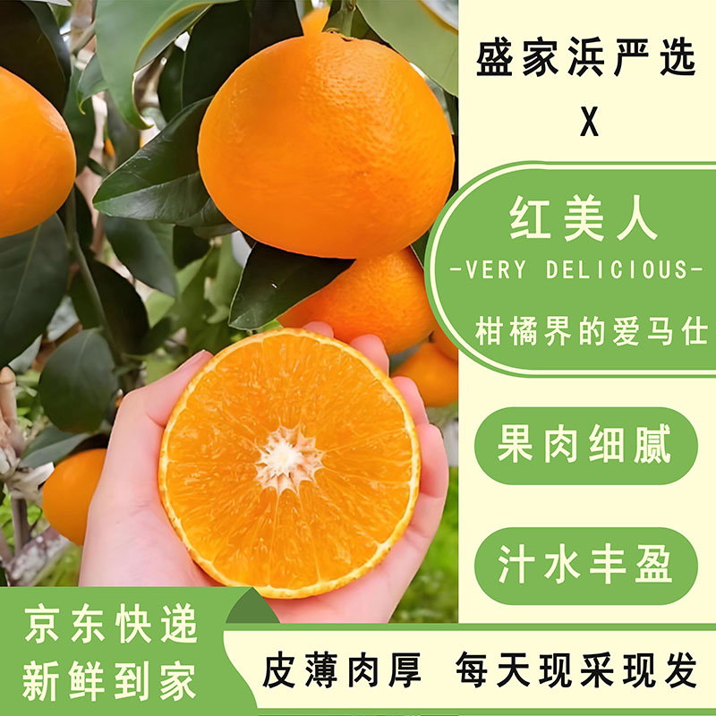 [盛家浜严选]红美人柑橘 皮薄肉厚 京东快递