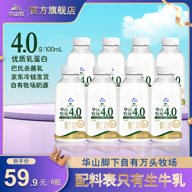 【4.0蛋白巴氏奶】华山牧鲜牛奶450ml*8瓶巴氏杀菌乳蛋白营养早餐zb