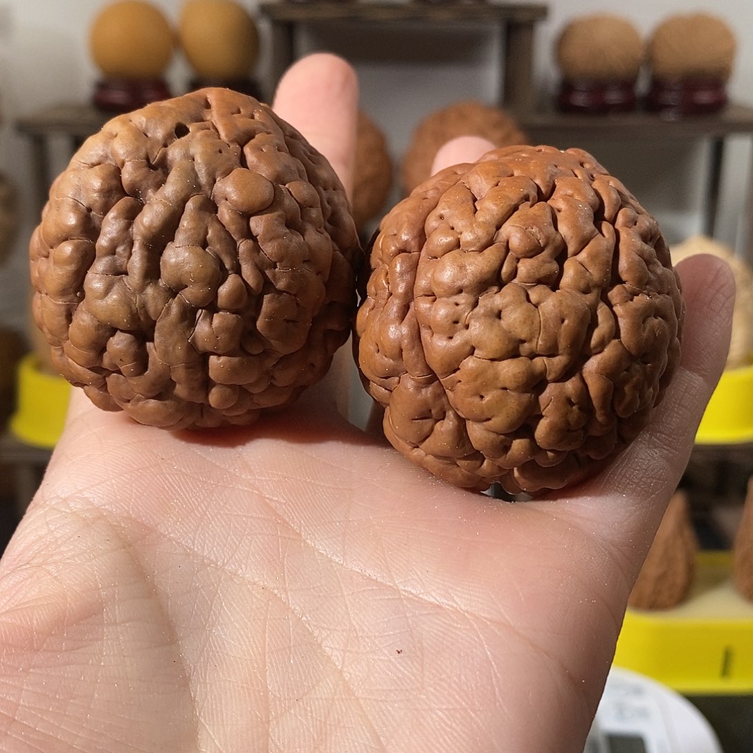 吊坠文玩核桃舍*三瓣脑纹金刚虫眼瑕不退不换不接受中差评