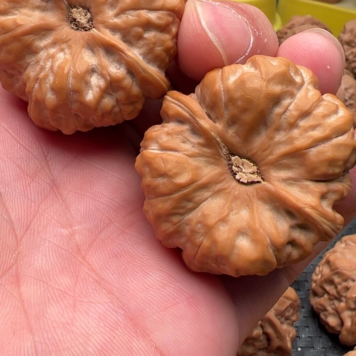 新***士文玩核桃文玩核桃