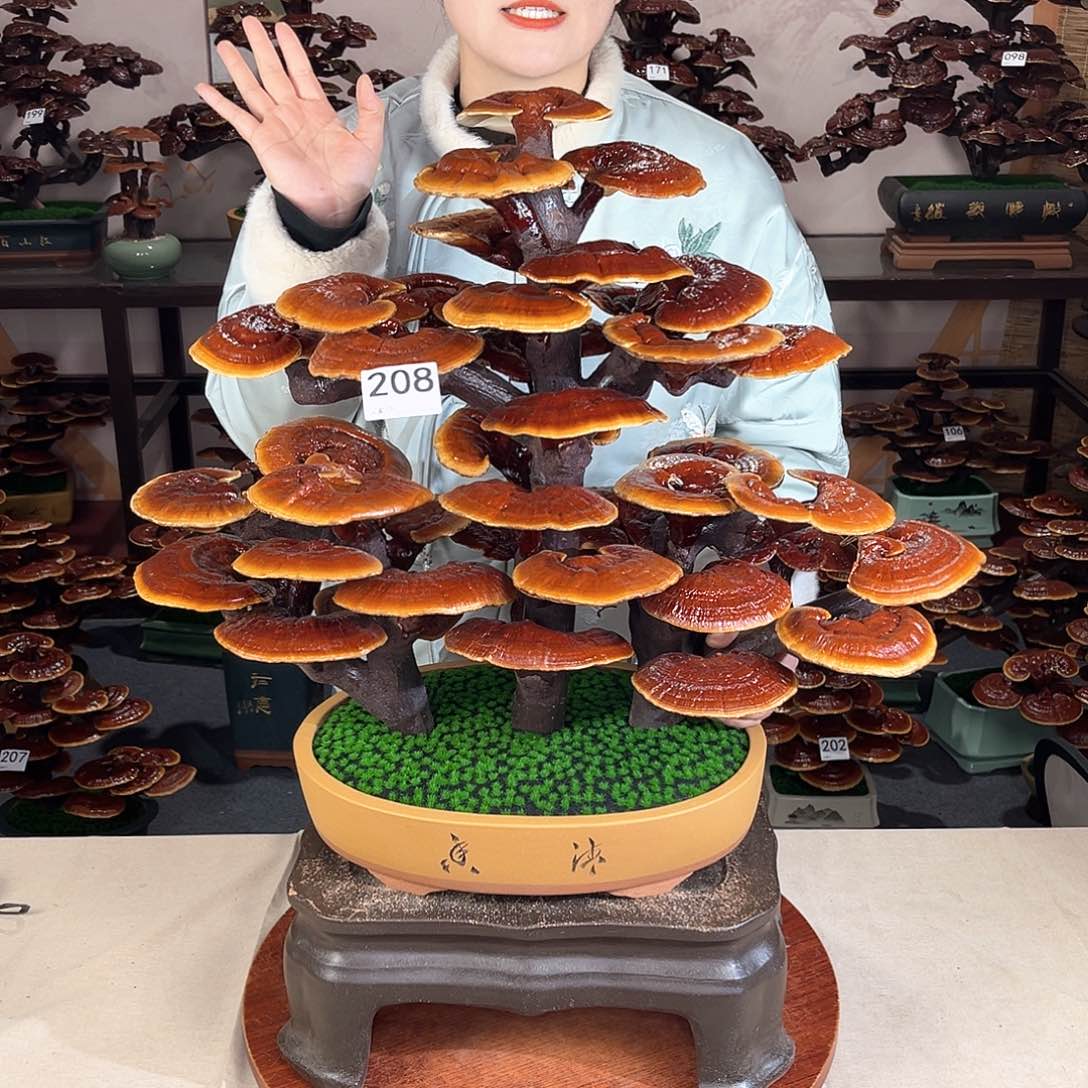 万事如意88888208