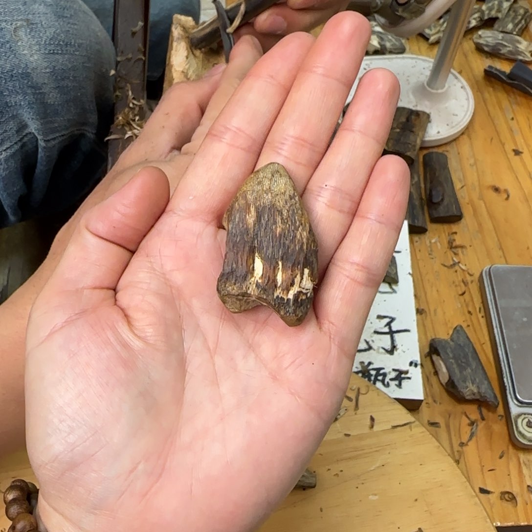 沉香吊坠素牌白奇虫漏孔料福利款