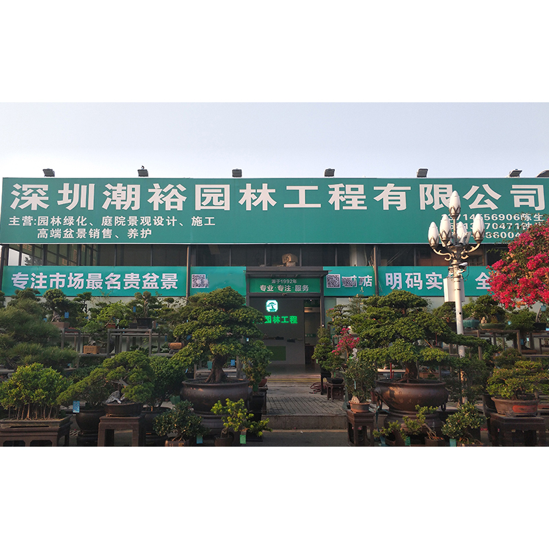 潮裕一物一拍直播间盆景一物一拍主播点到名字才去拍3500以上