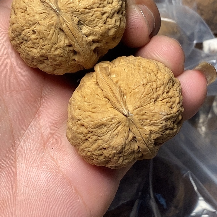 文玩核桃把件云南铁核桃34
