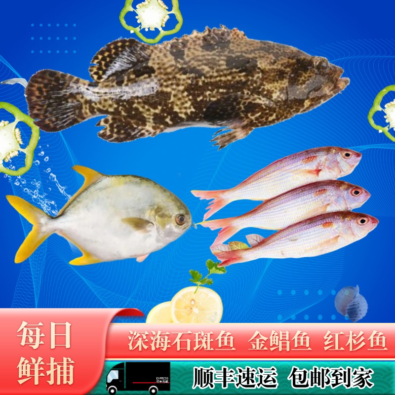 【十条海鱼】龙胆石斑鱼2条+金鲳鱼2条+红杉鱼2斤深海鱼生鲜5.2斤