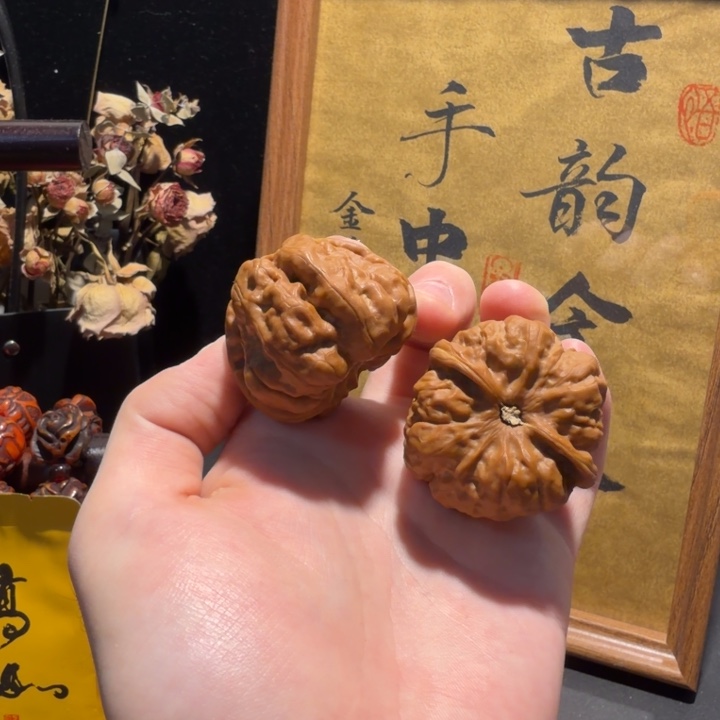 大尺寸毕业对43.7/46.5娃娃