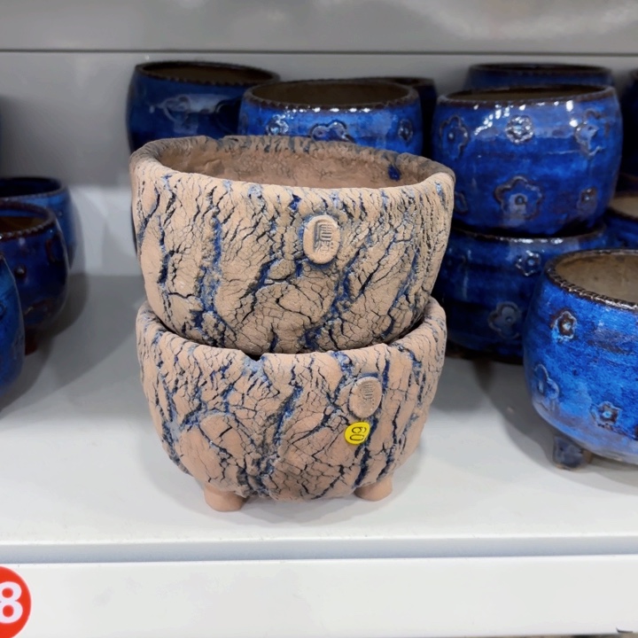 红陶内口11.5高8左右