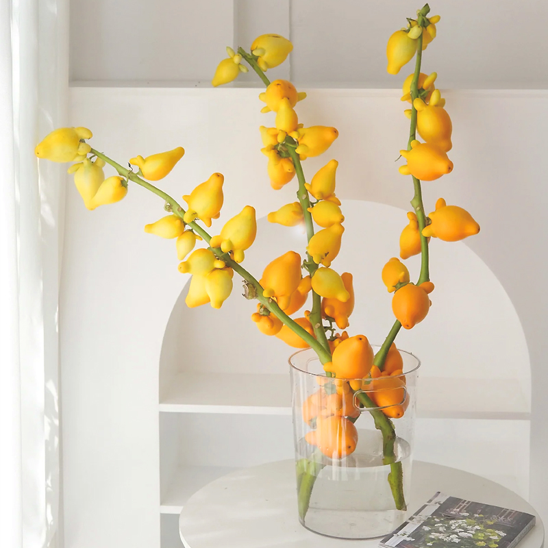 yc五代同堂黄金果桌面款鲜切枝云南基地直发鲜花福禄果花期长做