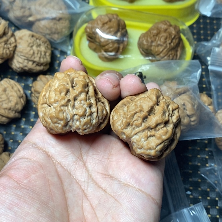 文玩核桃把件蛤蟆39