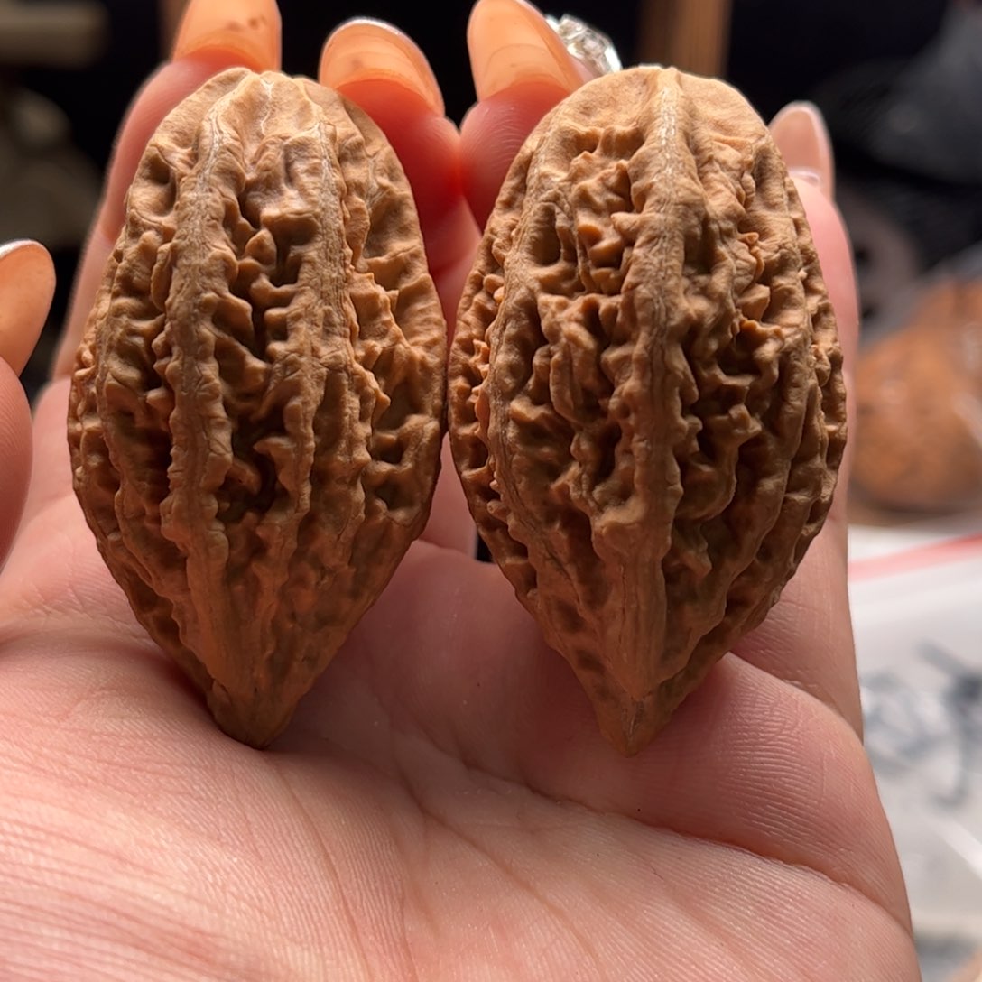 文玩核桃把件关东木子家楸大胖60