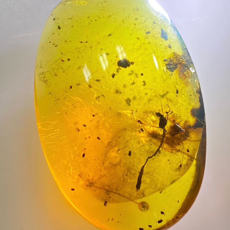 罕见豆娘，保存的不错，难得，金珀体通透，可收藏镶嵌佩戴