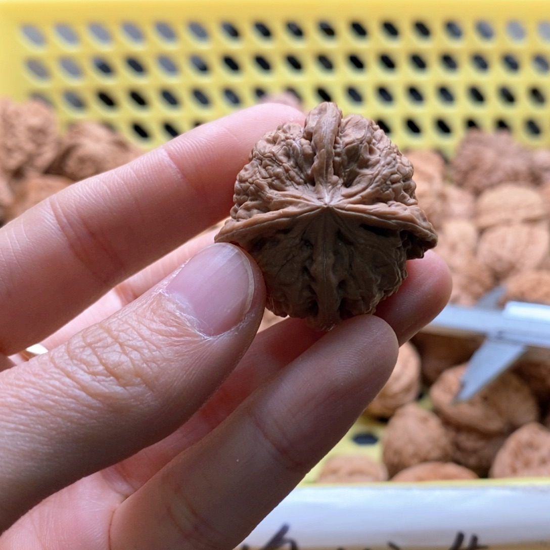 旭***日核桃定制商品不退不换