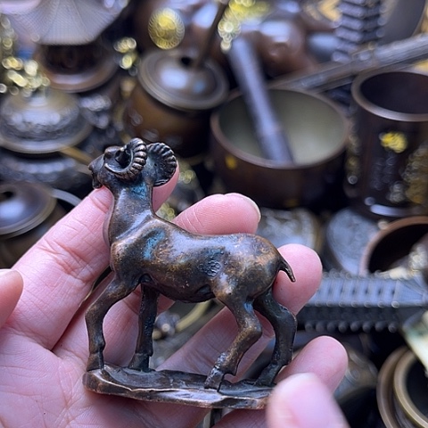 铜66666666666666666666666