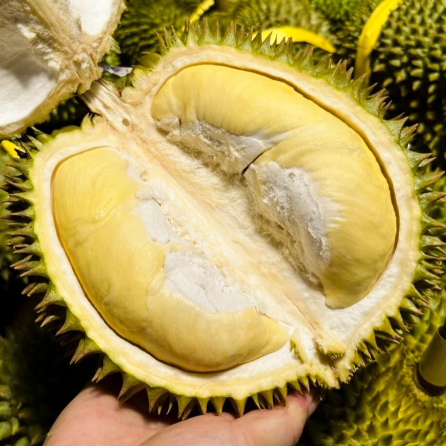 5号（特价）泰国A级金枕鲜榴莲（一果一重）核小金枕泰国