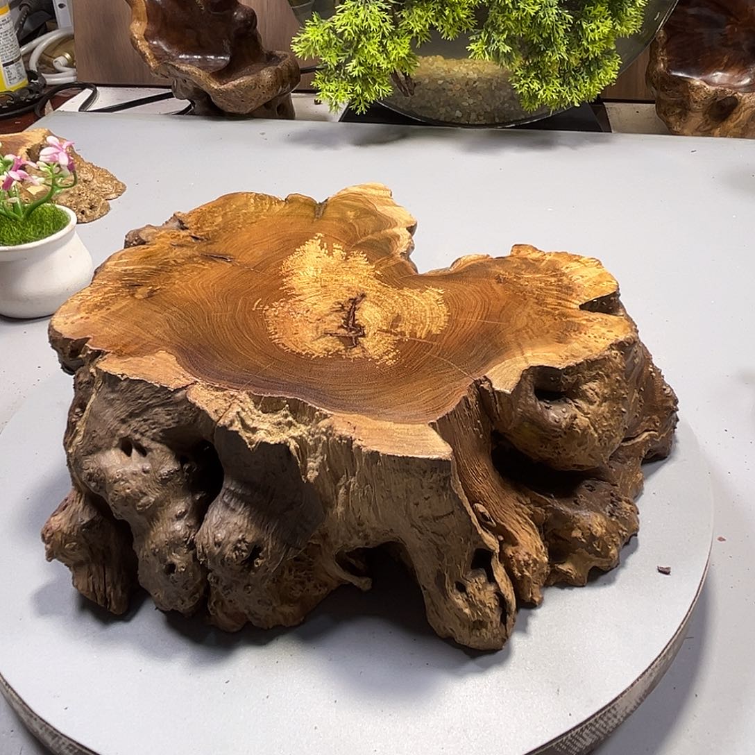 大果紫檀（缅甸花梨）跳***?