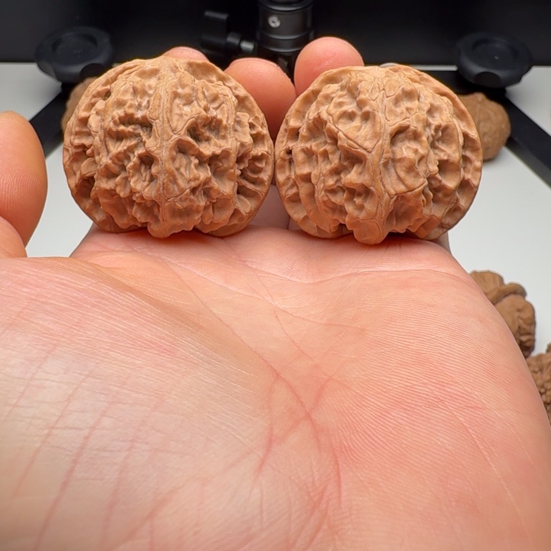 把件核桃42 苹果园