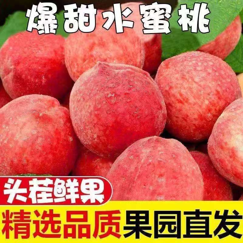 【开园福利】水蜜桃露天种植脆甜多汁LHH