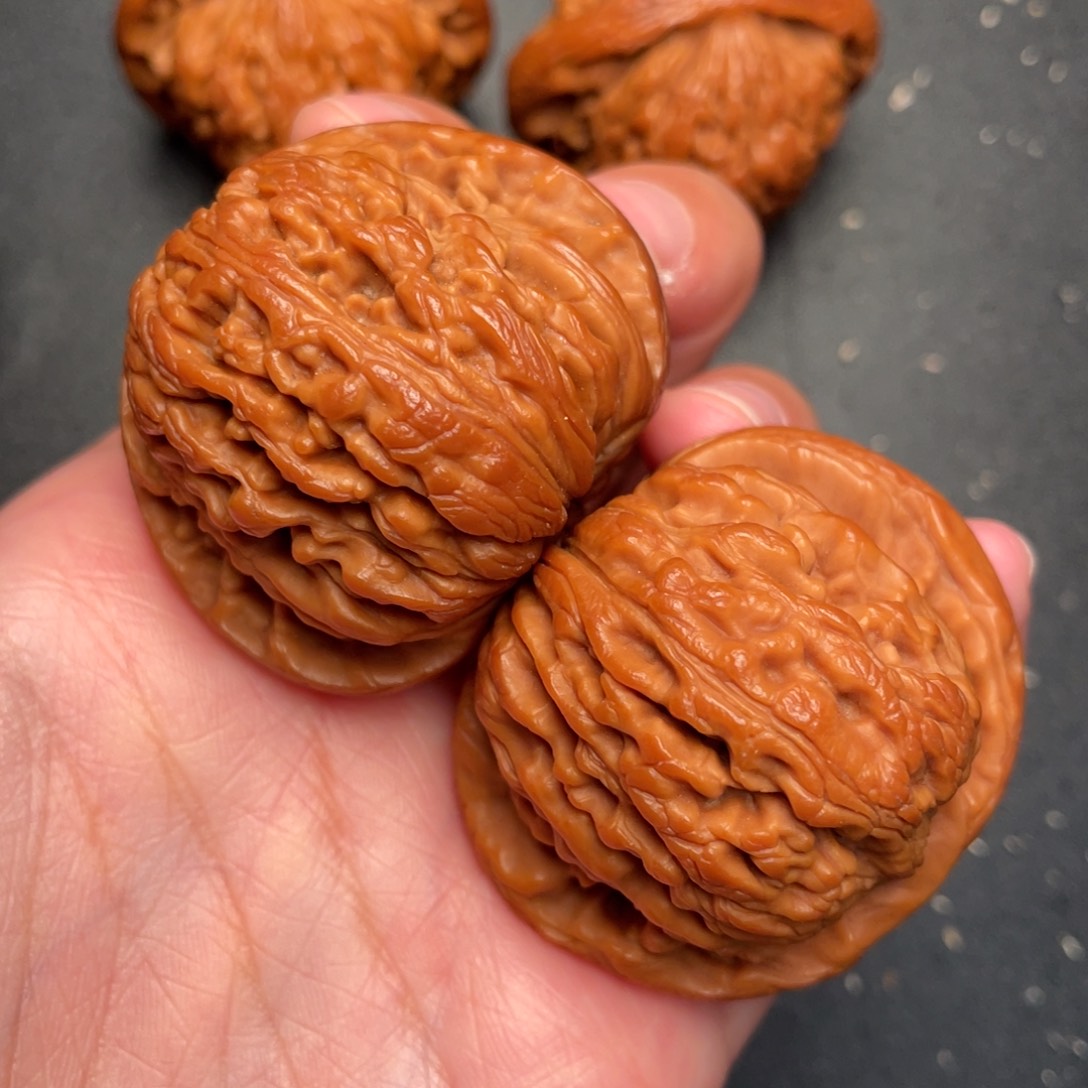 秦岭野生文玩核桃