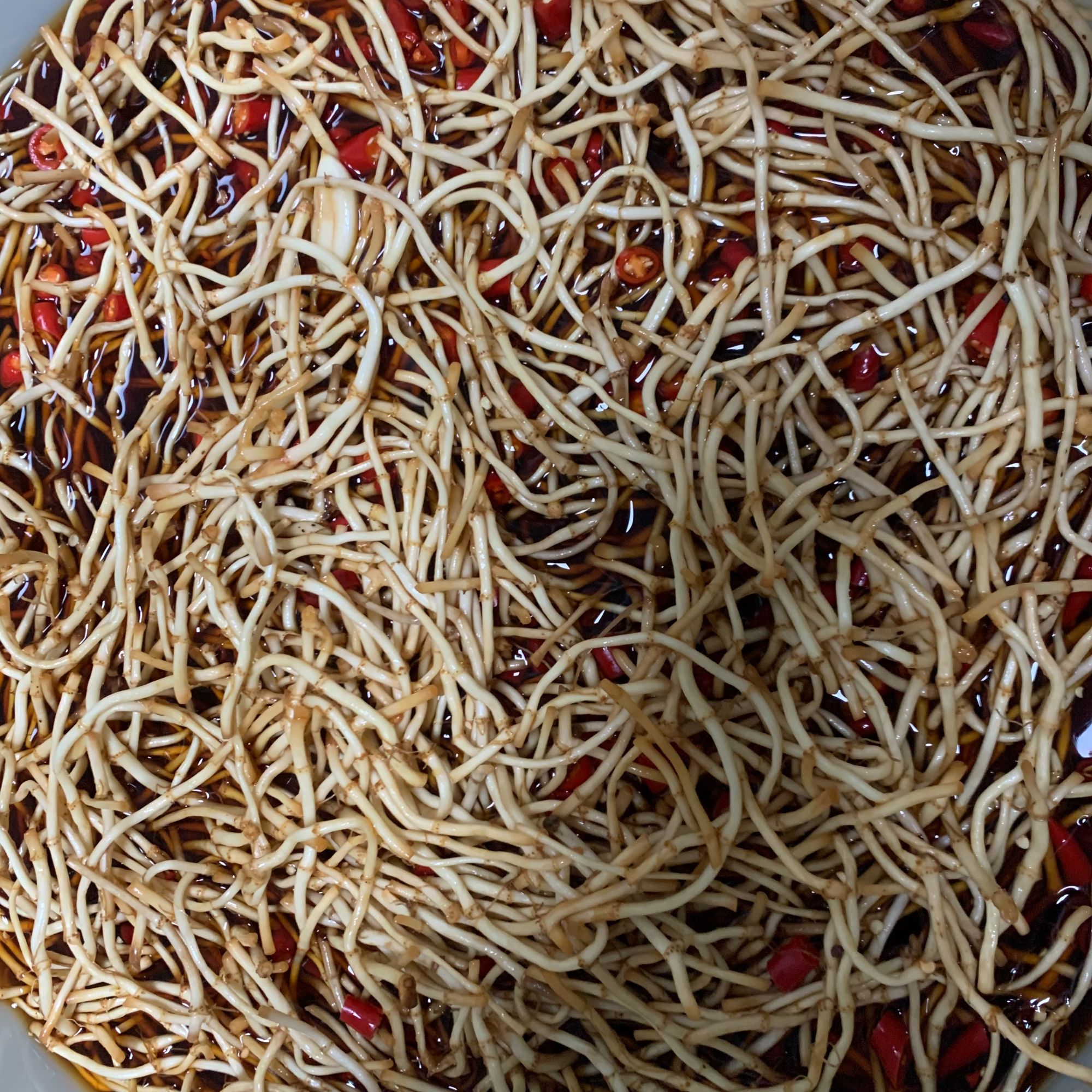  饿嘴婆饿嘴婆湖南芷江酱香鱼腥草870克一罐