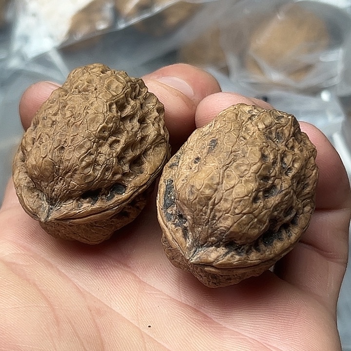 核桃23号卧龙38尺