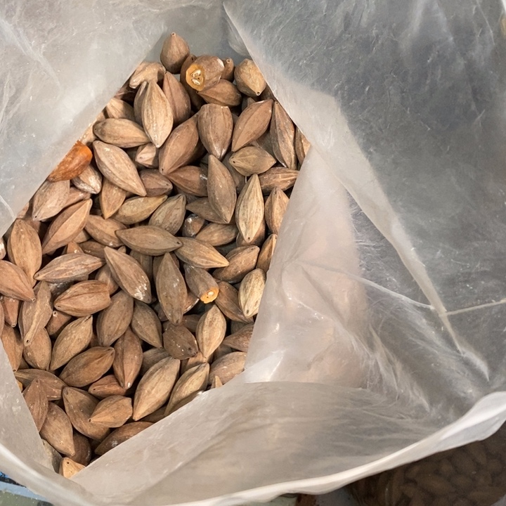 吊坠橄榄核金*G打包