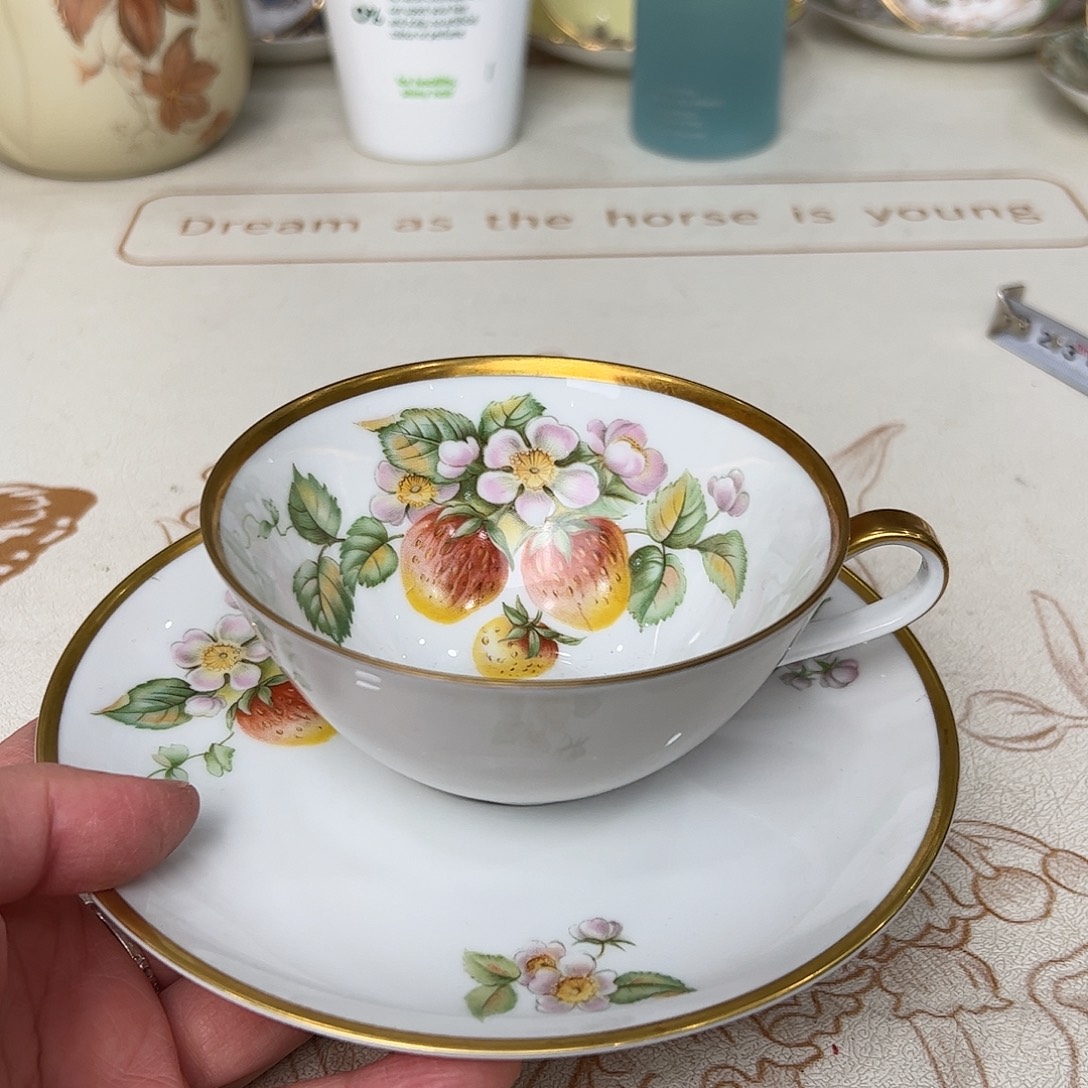 盘维多利亚欧洲中古