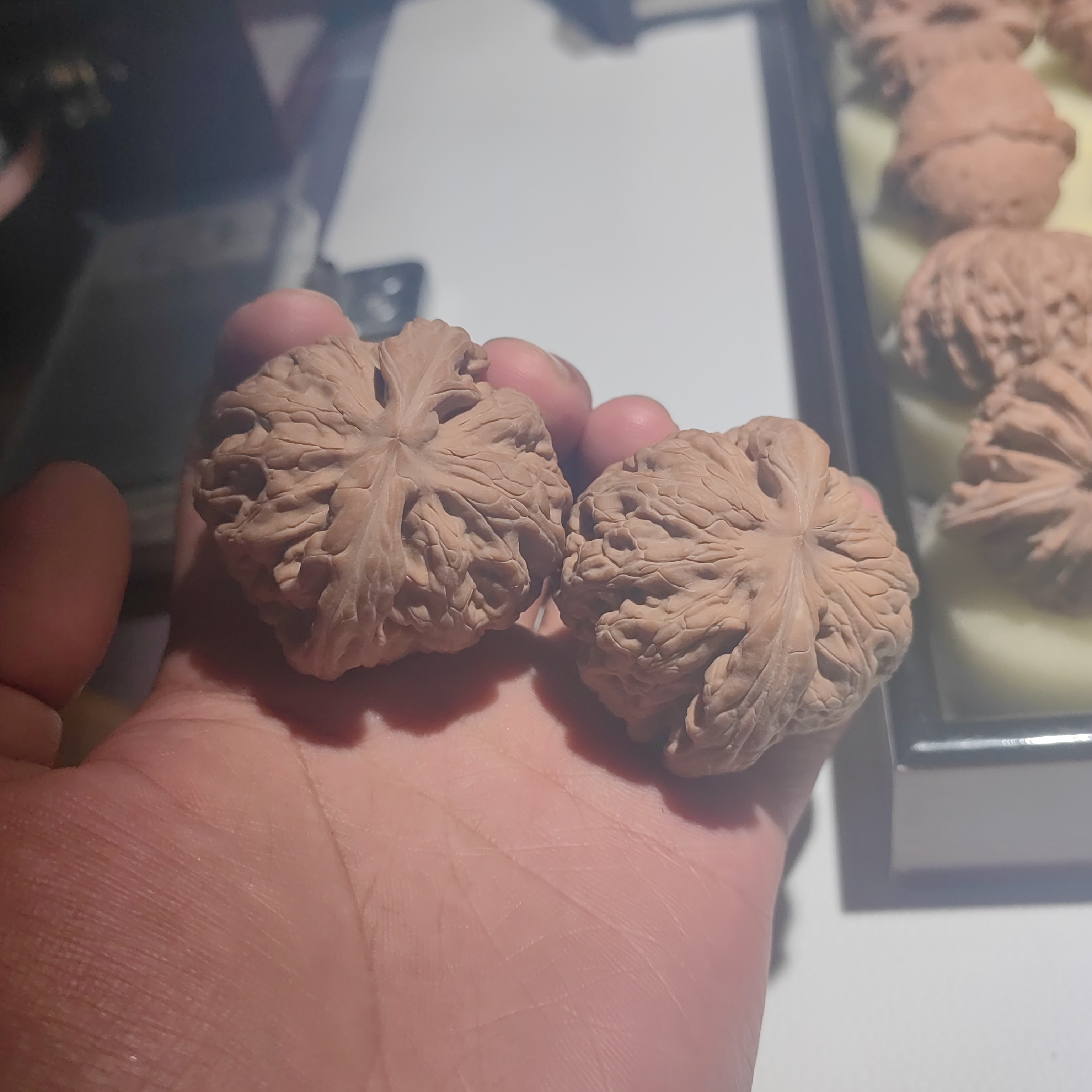 49全品大粗愣子球体红锦鲤
