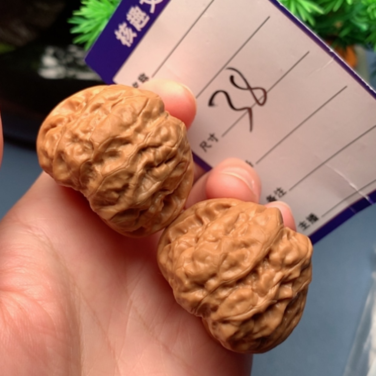 【闪购商品】文玩核桃把件蛙蛙