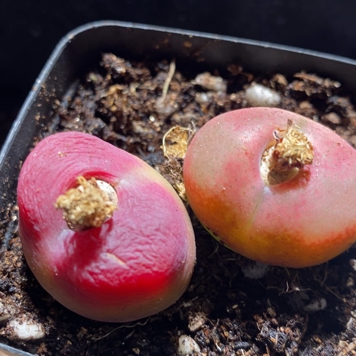 27263一组一组一组