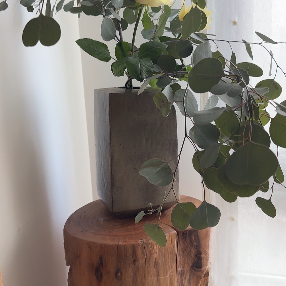 陶器皿器皿器皿器皿