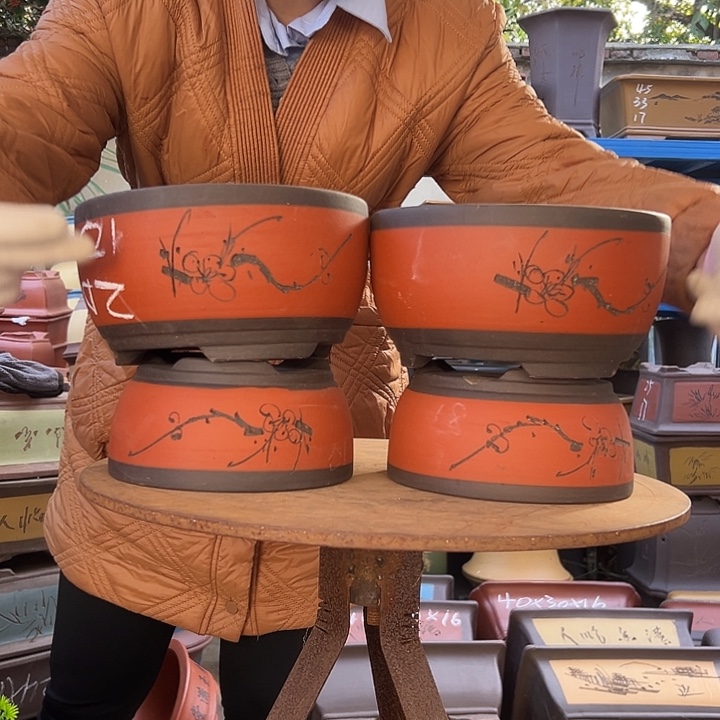 18+18，20+20红球盆花盆花盆花盆