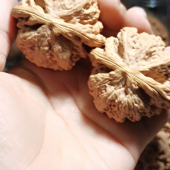 文玩核桃吊坠47粗筋狮子