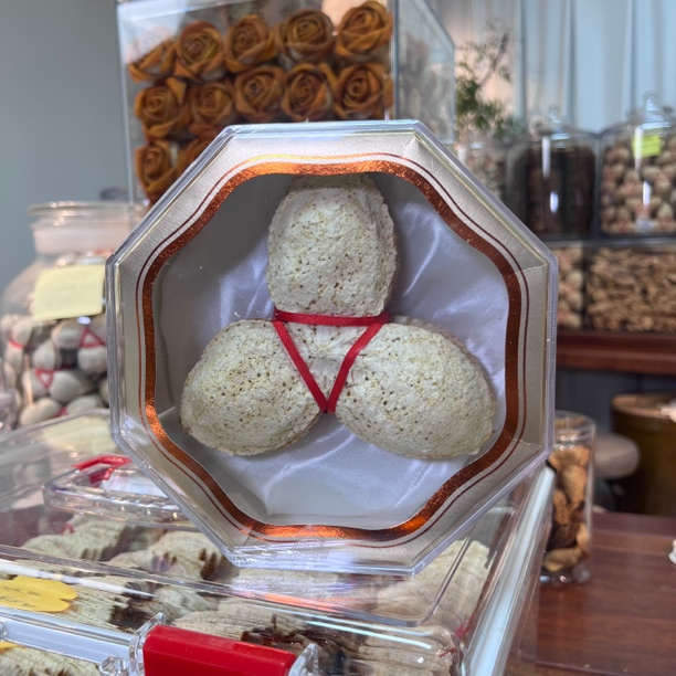 临时链接 2024年 新会梅江元旦扎皮样板 玫瑰花样板