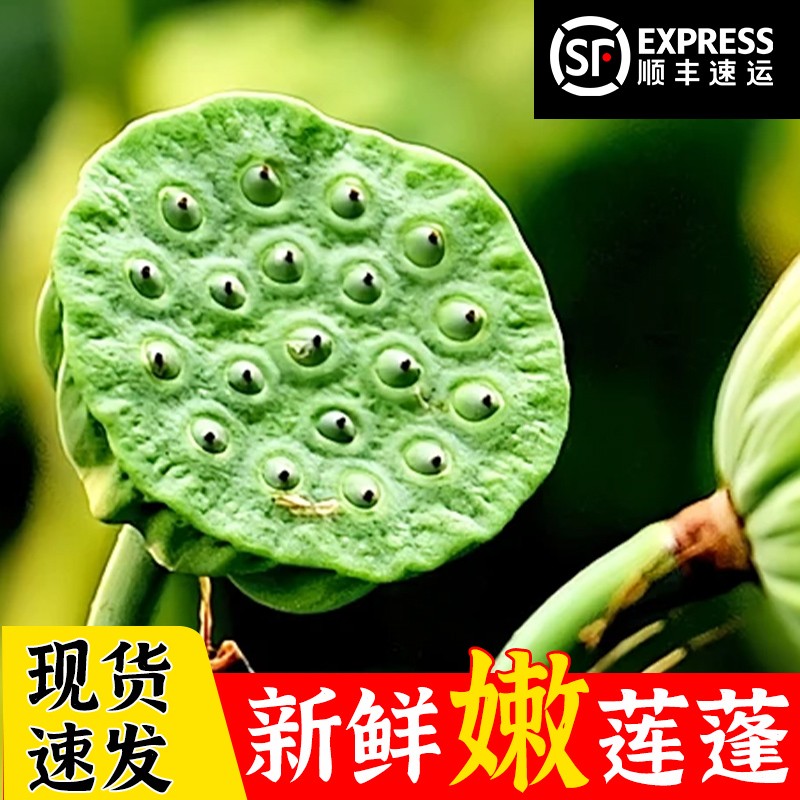 顺丰洪湖新鲜莲蓬现摘生吃莲子孕妇新鲜水果当季蔬菜甜嫩3斤即食